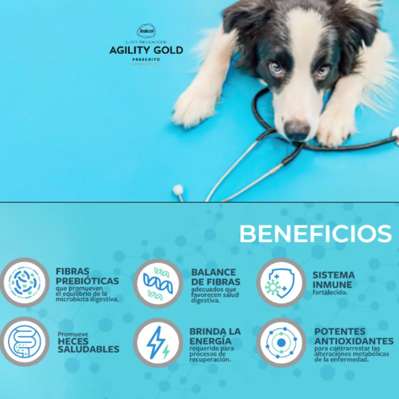 Agility Gold Entérico Gastrointestinal Perro Lata 2 Agility Gold Entérico Gastrointestinal Perro Lata — imagen 2
