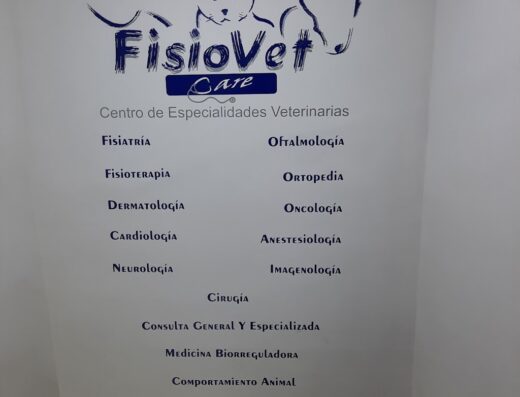 Fisiovet