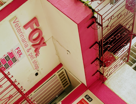 Fox Veterinaria & Pet Shop
