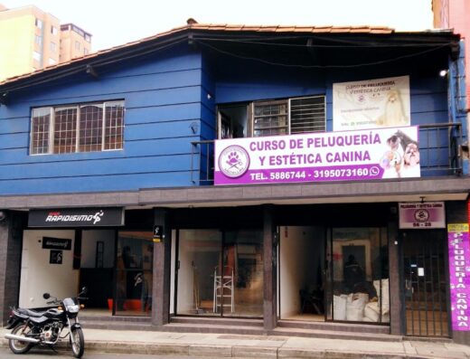 GROOMING MEDELLÍN. escuela de estética canina