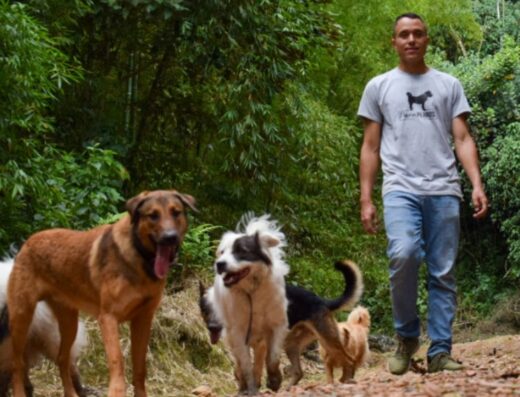 Guardería Para Perros – Hotel y días recreativos Caninos