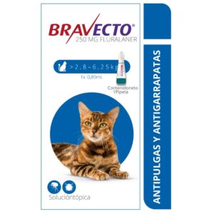 Bravecto Spot On antipulgas para gato de 2,8 a 6,2 kg