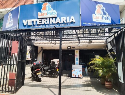 Lara Pets Cali