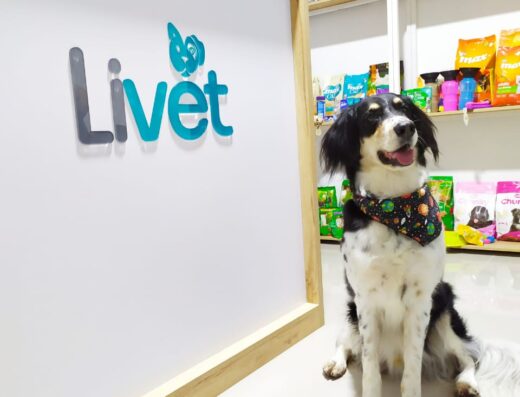 Livet Clínica Veterinaria
