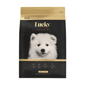 Lucky Cachorros Raza Grande