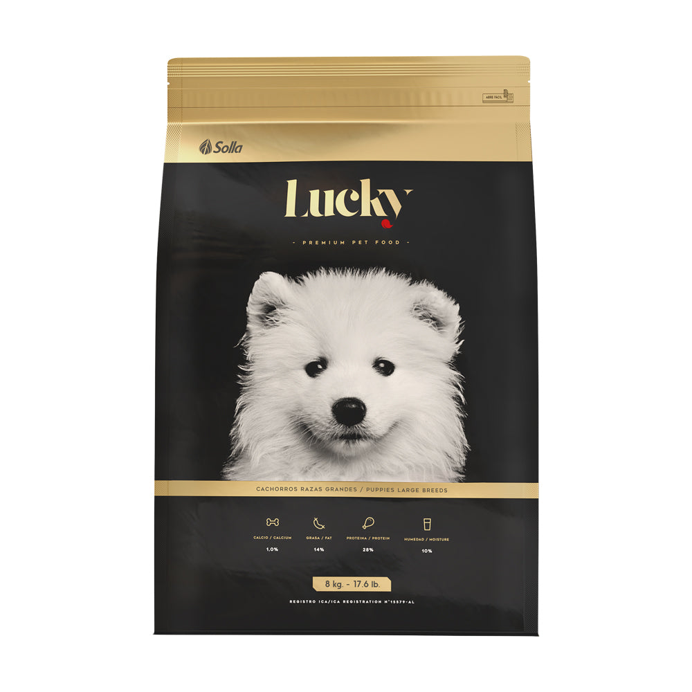 Lucky Cachorros Raza Grande 1 Lucky Cachorros Raza Grande