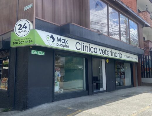 Maxpuppies: Clinica Veterinaria Envigado