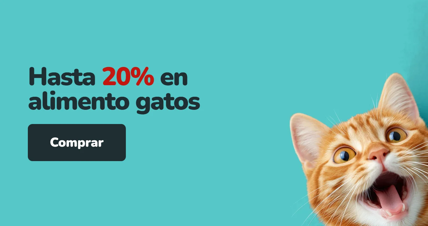 Gato naranja con la boca abierta sobre fondo turquesa. Hasta 20% de descuento en alimento para gatos en Parche Peludo