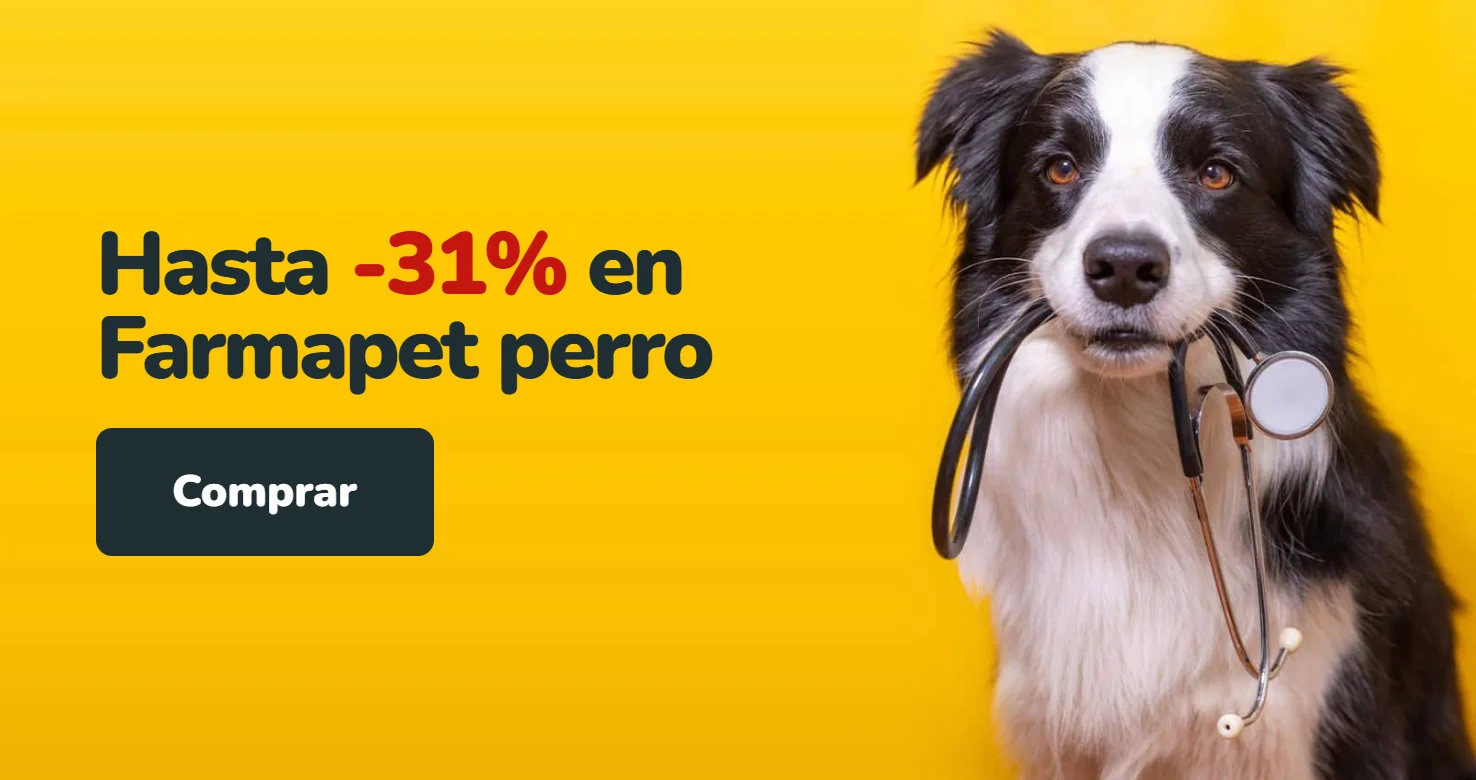 Perro border collie sosteniendo un estetoscopio en el hocico sobre fondo amarillo. Hasta 31% de descuento en la marca Farmapet para perros en Parche Peludo