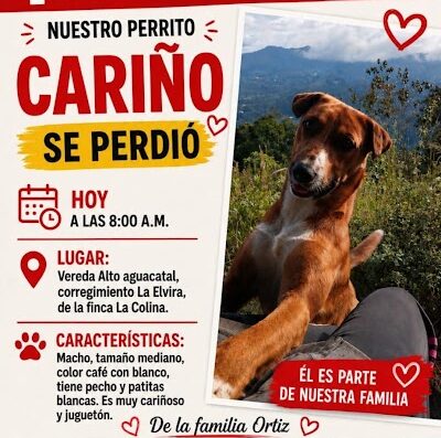 Cariño