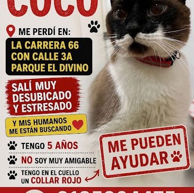 Coco