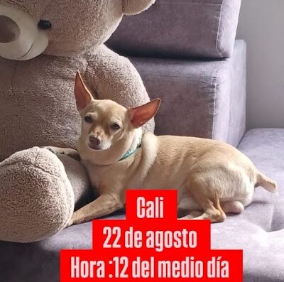 Coco