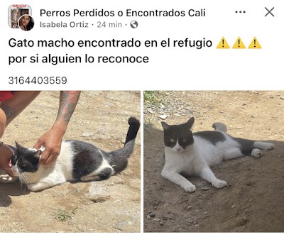 El Refigio