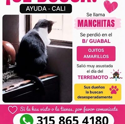 Manchitas