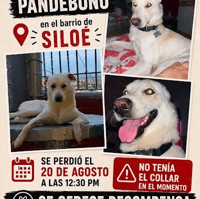 Pandebono