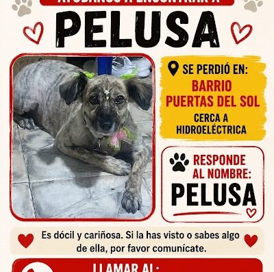 Pelusa