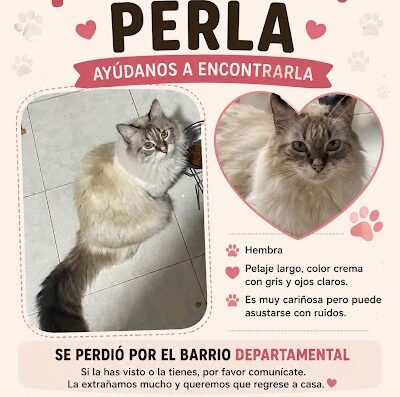 Perla