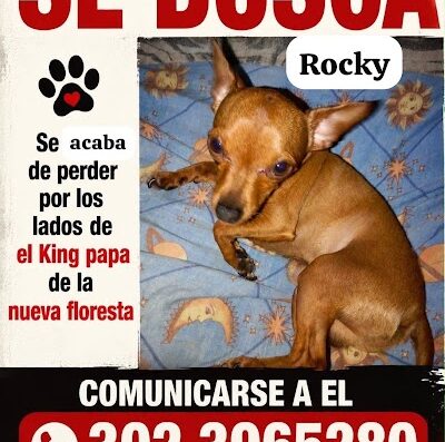 Rocky