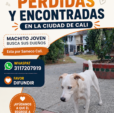 Sameco