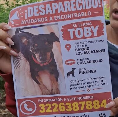 Toby