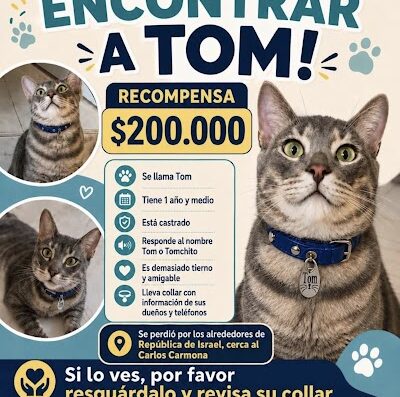 Tom
