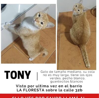 Tony