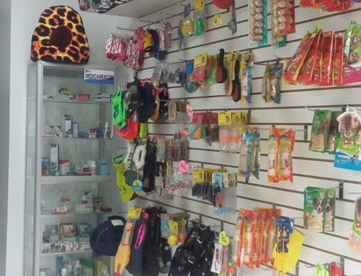 PETS PLUS Veterinaria