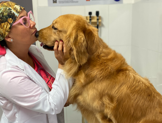 PetShop Animal Hospital