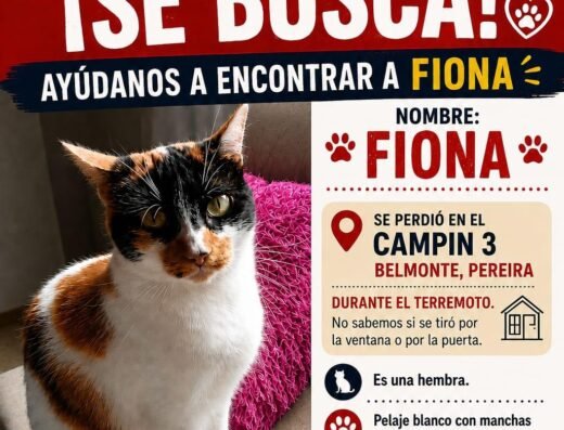 Fiona · Mestizo, criollo