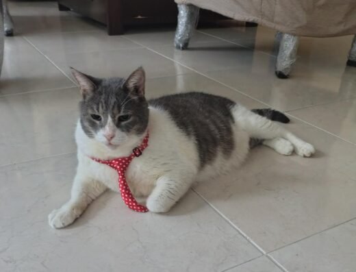 Juan