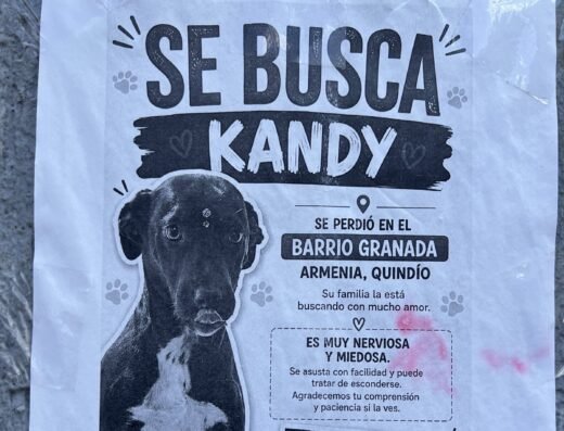 Kandy · Meztizo