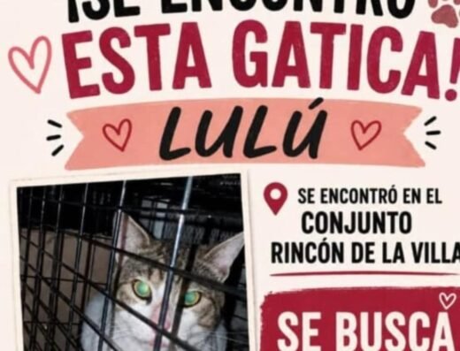 Lulu