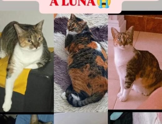 Luna