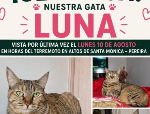 Luna