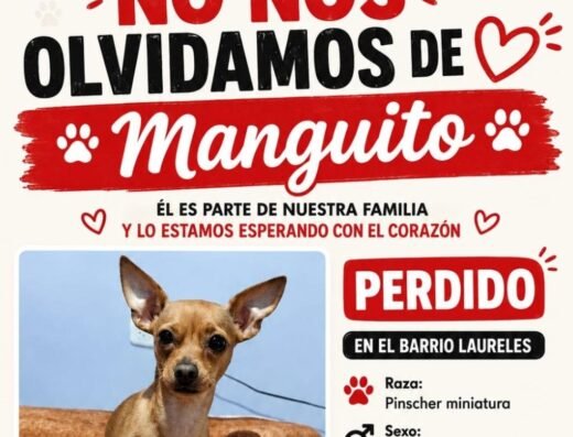Manguito · Pinscher