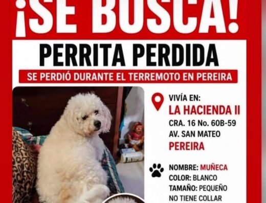 Muñeca