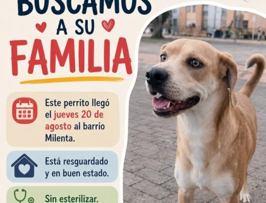 NN – Luky · Criollo