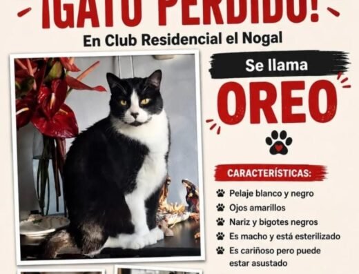Oreo · Negro y blanco