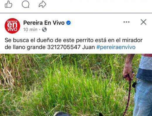 Perro encontrado · Parque industrial