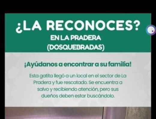 sin identificar · criollo