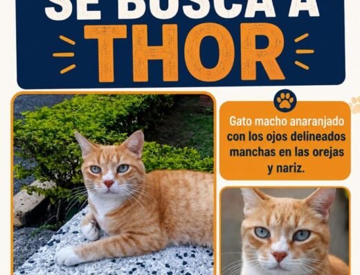 Thor