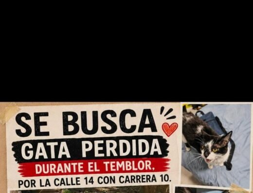 Tila · Mestiza mediana