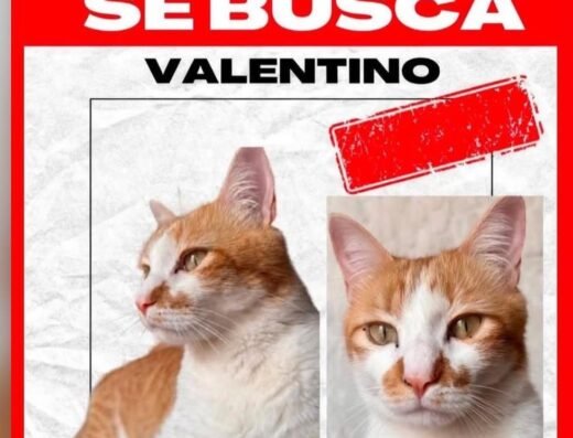 Valentino · Blanco con naranja