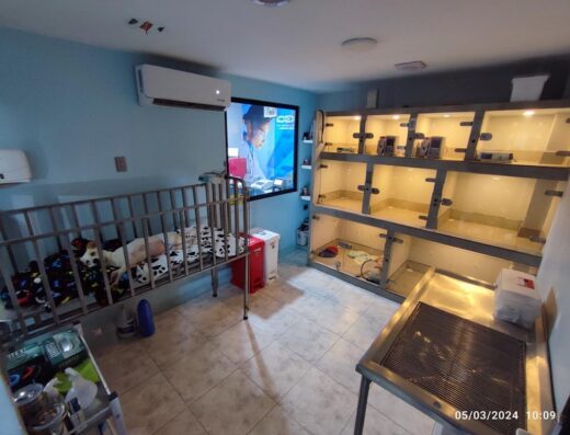 RCPet Clínica Veterinaria 24 Horas