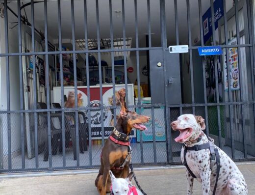 Servicios Veterinarios Lulare 24 horas (Antes Ser Vet)