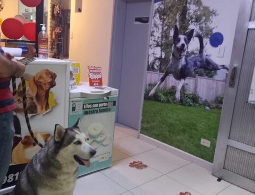 Servicios Veterinarios Lulare 24 horas (Antes Ser Vet)