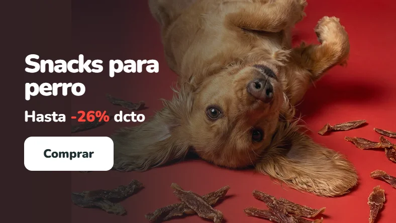 Cocker spaniel tumbado boca arriba sobre fondo rojo rodeado de tiras de snack. Snacks para perro con hasta 26% de descuento en Parche Peludo