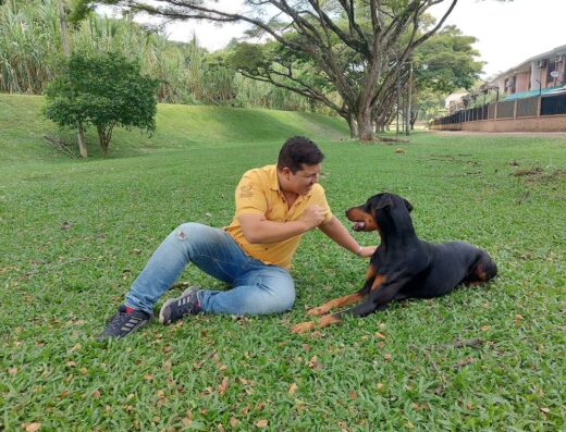 Stiven López M.V. – Etología Clínica y Formación Canina
