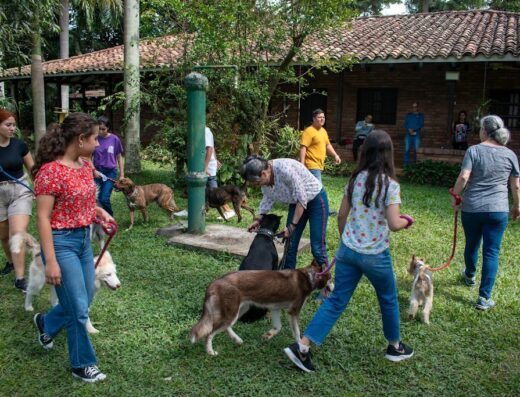 Stiven López M.V. – Etología Clínica y Formación Canina