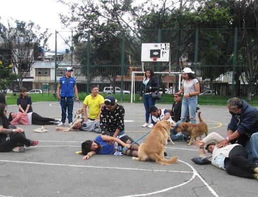 Stiven López M.V. – Etología Clínica y Formación Canina